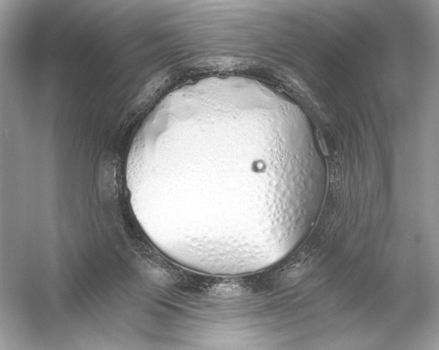 X0000056030119200509092215