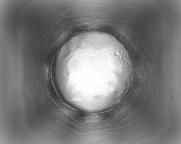 X0000056030123200509092215