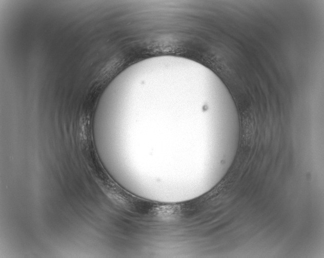 X0000056030126200509092215