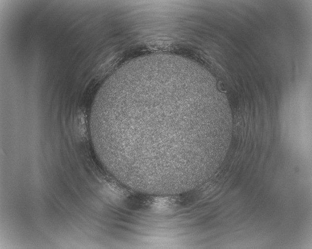 X0000056030130200509092215