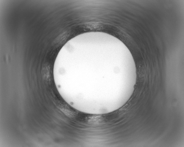 X0000056030132200509092215