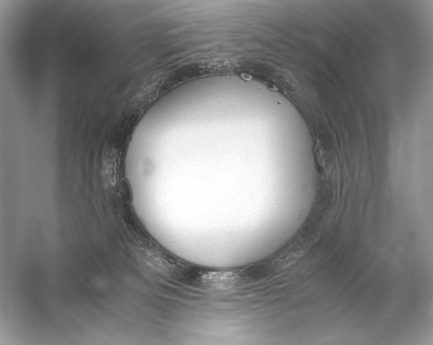 X0000056030133200509092215