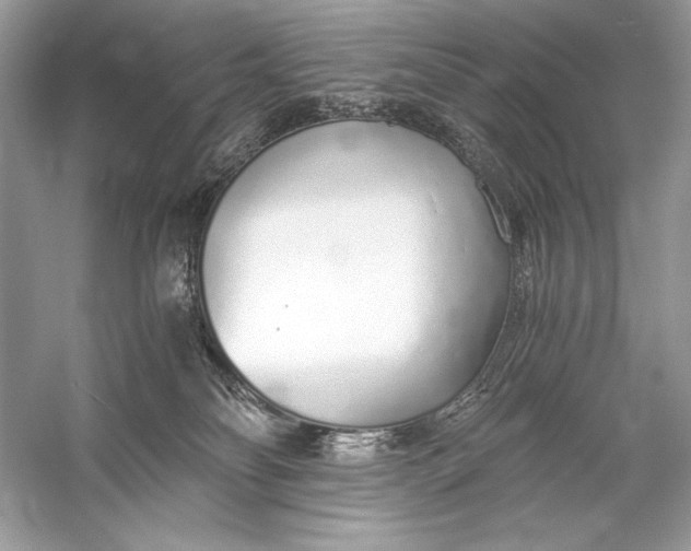 X0000056030134200509092215