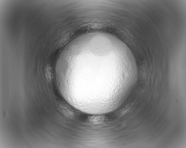 X0000056030135200509092215