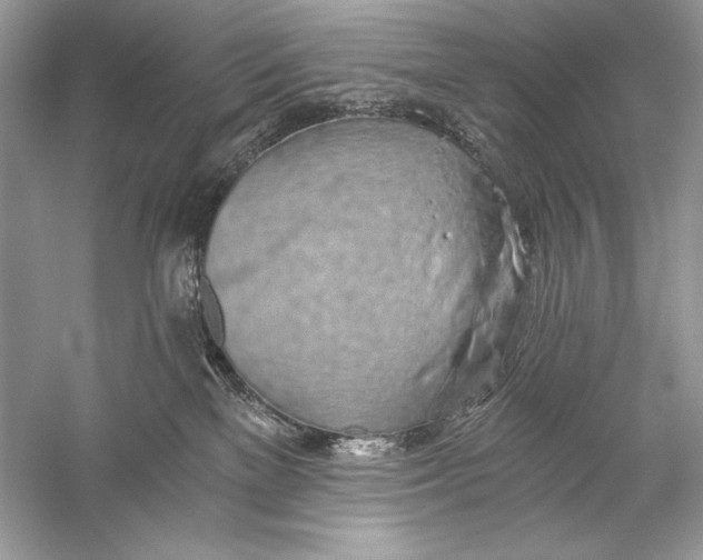 X0000056030137200509092215