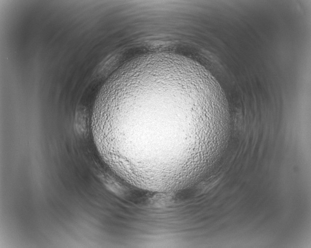 X0000056030138200509092215