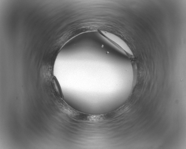 X0000056030141200509092215