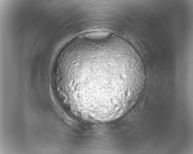 X0000056030145200509092214