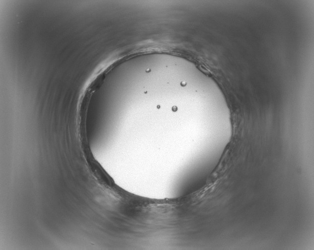 X0000056030150200509092214