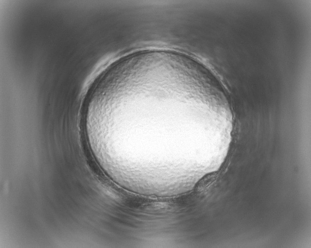 X0000056030151200509092214