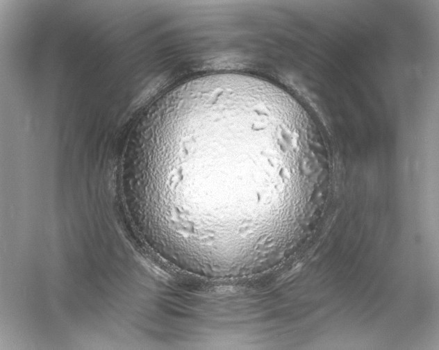 X0000056030153200509092214