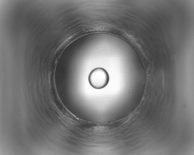 X0000056030154200509092214