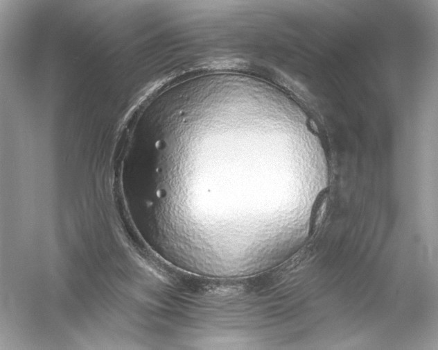 X0000056030155200509092214