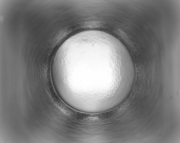 X0000056030159200509092214