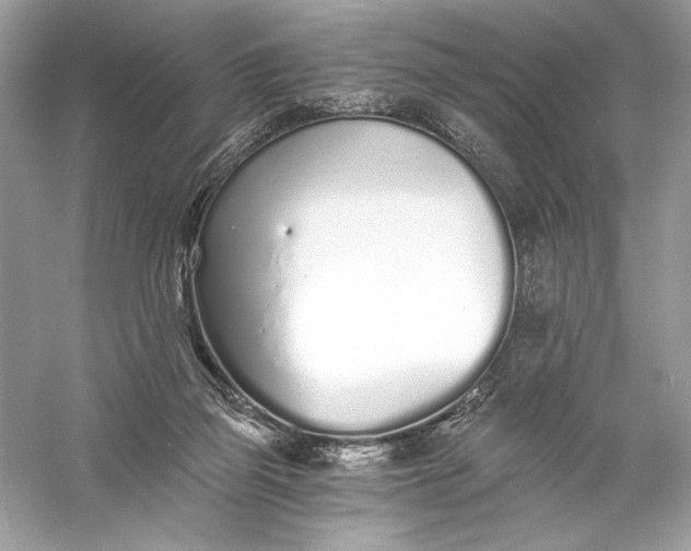 X0000056030165200509092214