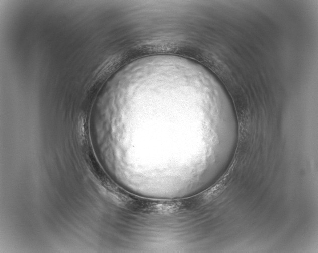 X0000056030166200509092214