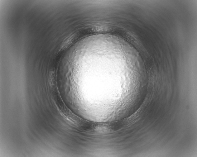 X0000056030171200509092214