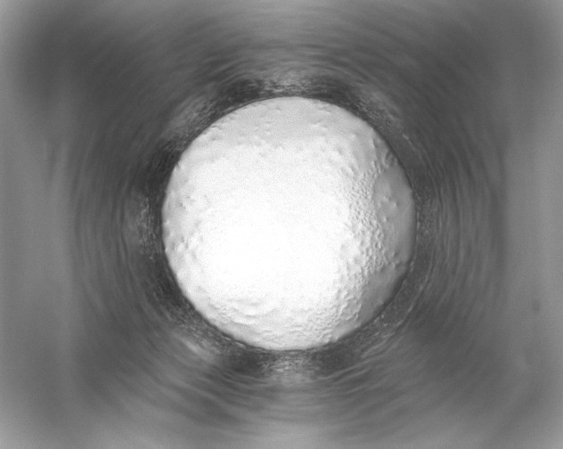 X0000056030173200509092214