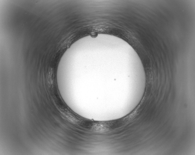 X0000056030174200509092214