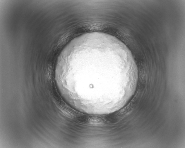 X0000056030175200509092214