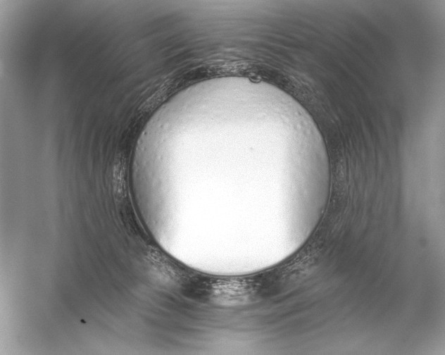 X0000056030177200509092214