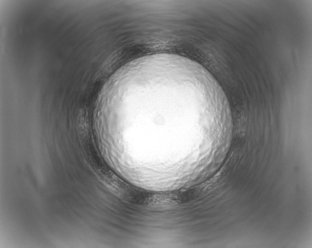 X0000056030179200509092215