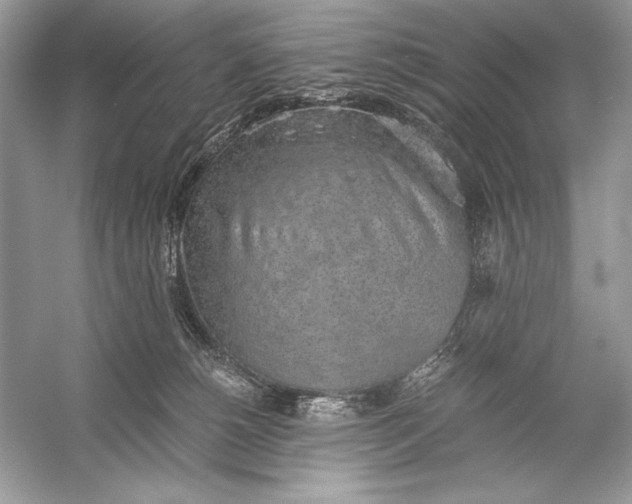 X0000056030180200509092215