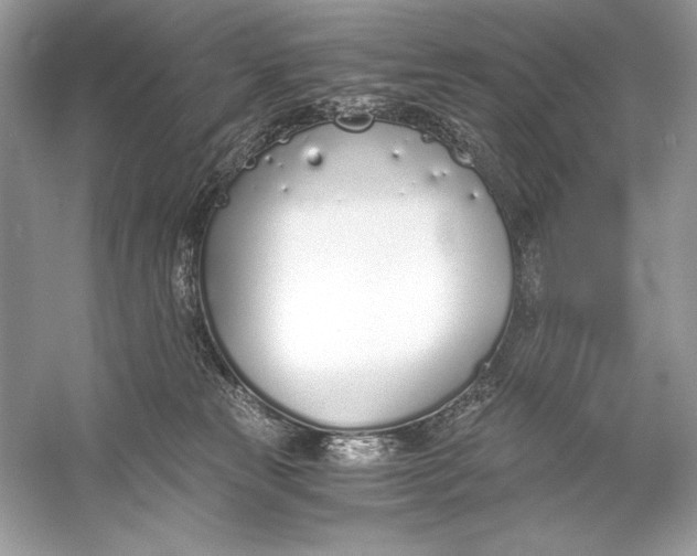 X0000056030181200509092215