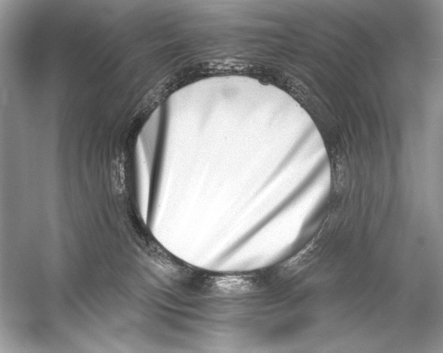 X0000056030183200509092215