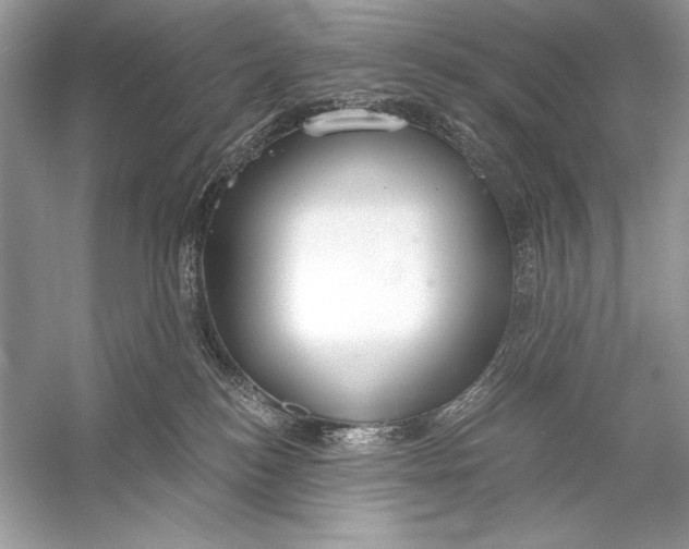 X0000056030184200509092215