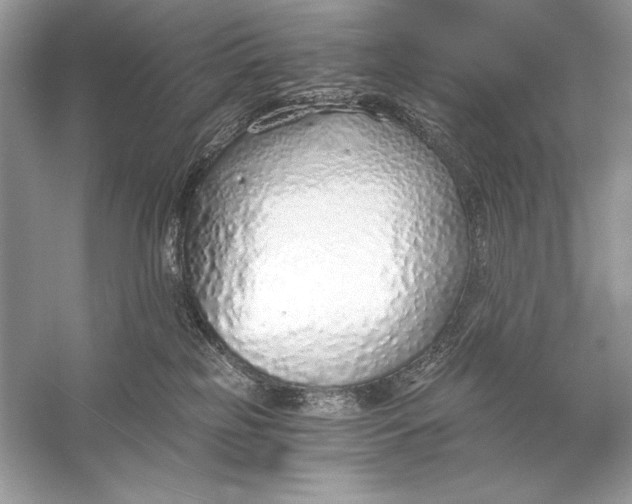 X0000056030185200509092215