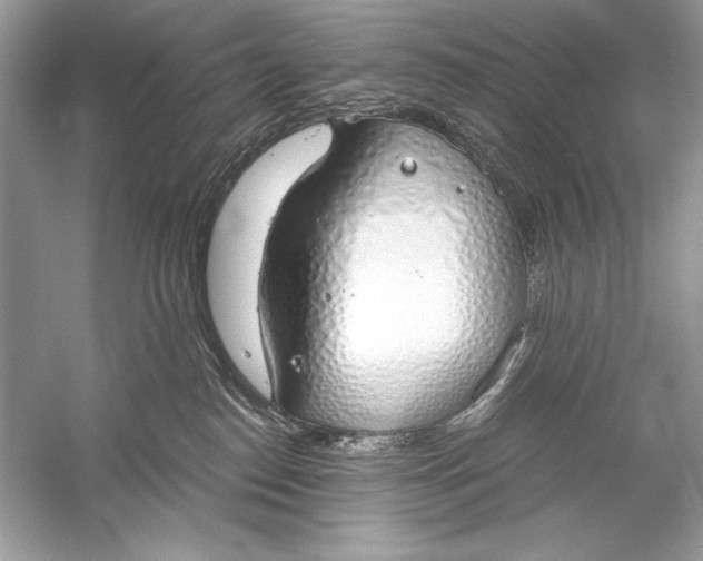 X0000056030186200509092215