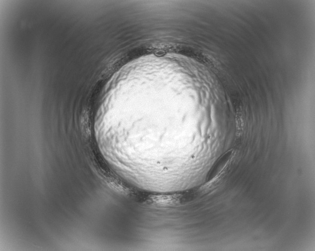 X0000056030187200509092215