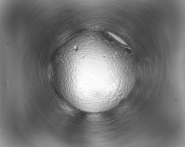 X0000056030189200509092215