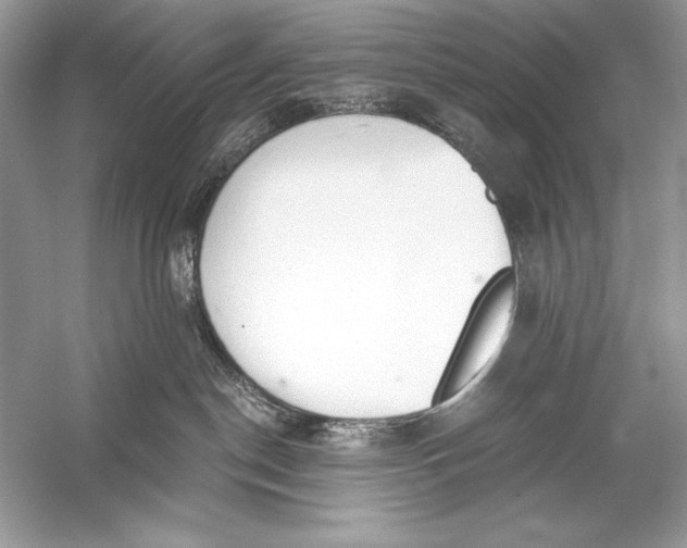 X0000056030190200509092215