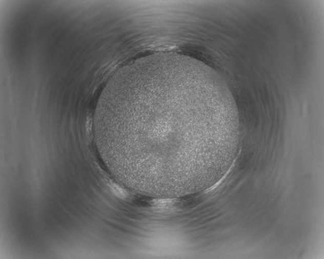 X0000056030192200509092215