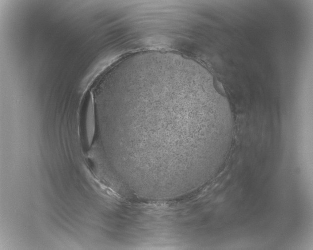 X0000056030194200509092214