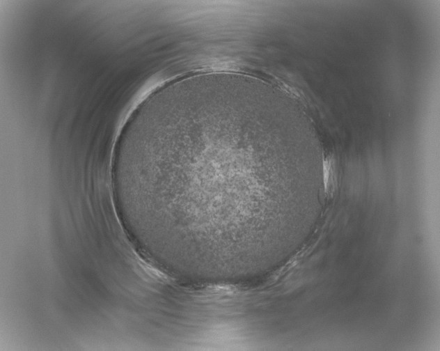 X0000056030195200509092214