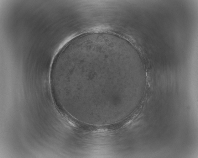 X0000056030196200509092214