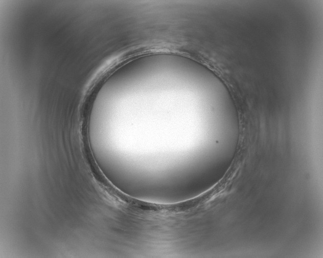 X0000056030197200509092214