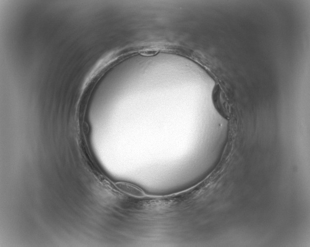 X0000056030198200509092214