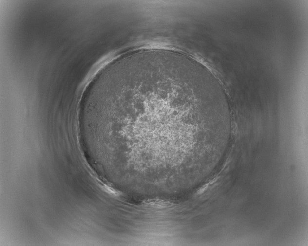 X0000056030199200509092214