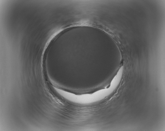 X0000056030200200509092214