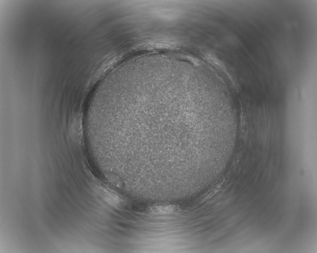 X0000056030202200509092214