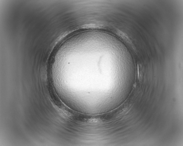 X0000056030204200509092214