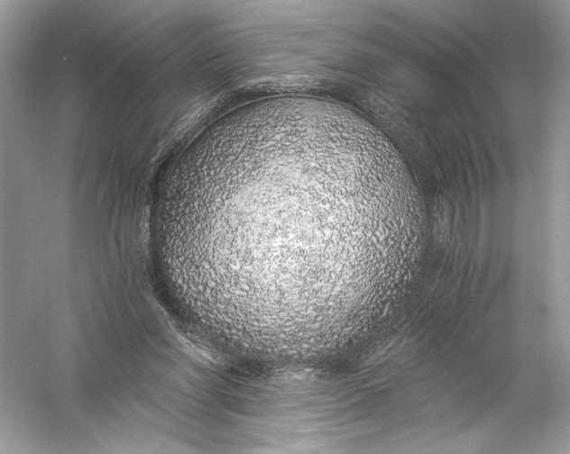 X0000056030206200509092214