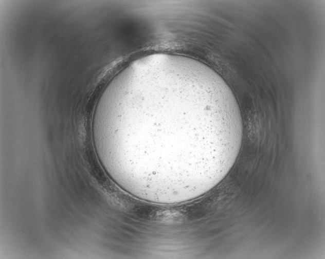 X0000056030208200509092214