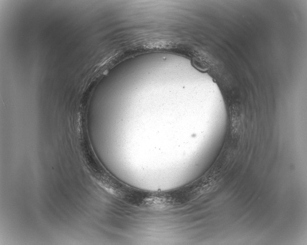 X0000056030211200509092214