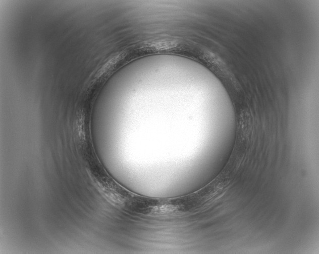 X0000056030212200509092214