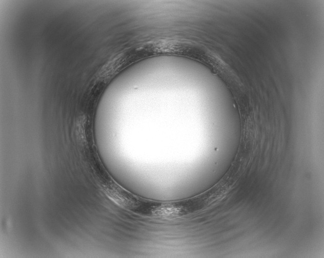 X0000056030217200509092214